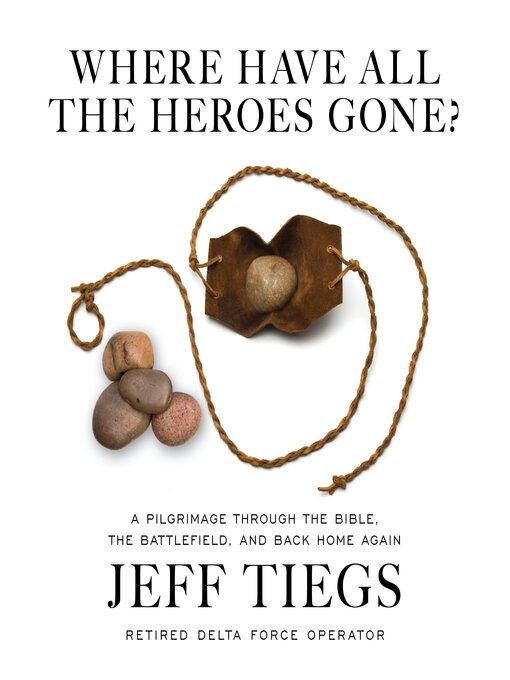 Title details for Where Have All the Heroes Gone? by Jeff Tiegs - Wait list